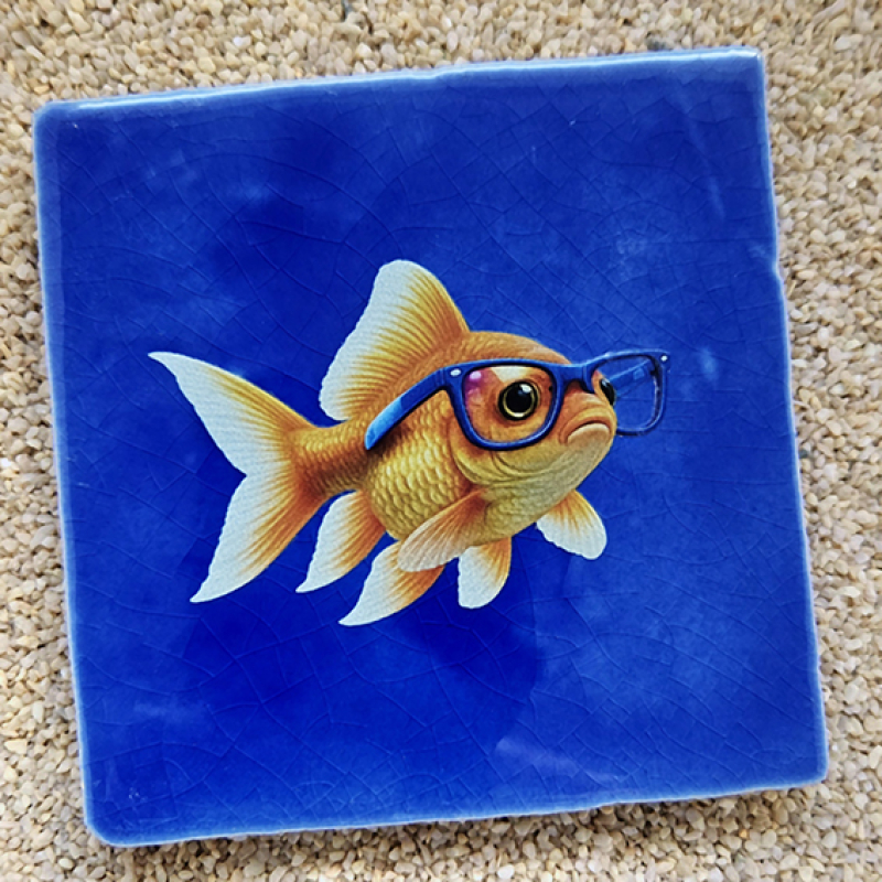 Tegeltje Goudvis met bril